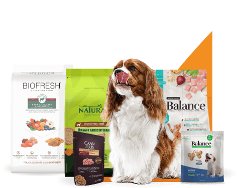 Banner cachorro lambendo os beiços comendo ração.